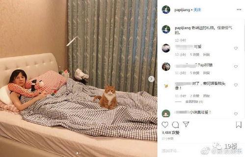 娱乐吃瓜酱怀孕,娱乐圈再掀怀孕热潮